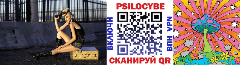 Купить  Холм  Галлюциногенные грибы Cubensis 